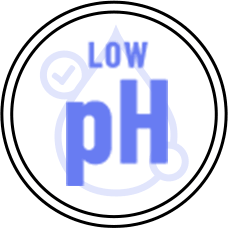 Panthenol Ceramide Low pH Gel Cleanser